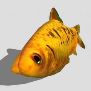 3D水生动物纹理鱼SU模型下载_sketchup草图大师SKP模型