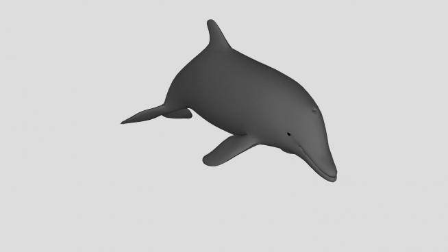 鲸类哺乳动物海豚SU模型下载_sketchup草图大师SKP模型