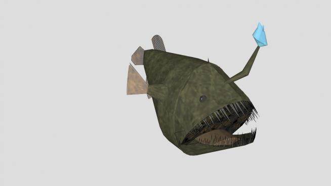 海洋动物深海琵琶鱼SU模型下载_sketchup草图大师SKP模型