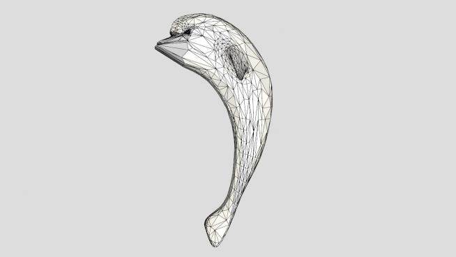 哺乳动物海豚SU模型下载_sketchup草图大师SKP模型