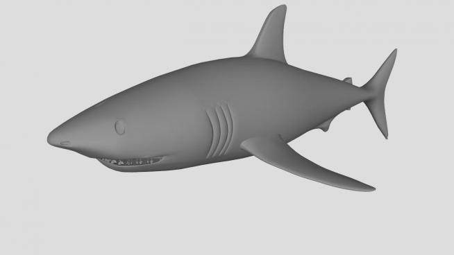 海洋食肉鱼类大白鲨SU模型下载_sketchup草图大师SKP模型