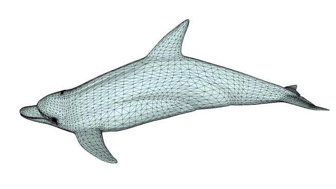 鲸目海豚科动物SU模型下载_sketchup草图大师SKP模型