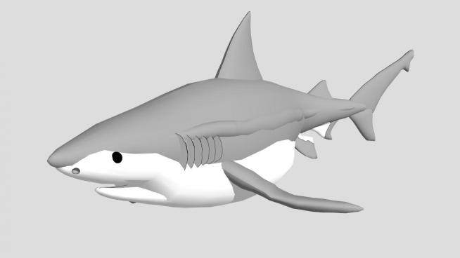 软骨鱼纲牛鲨SU模型下载_sketchup草图大师SKP模型