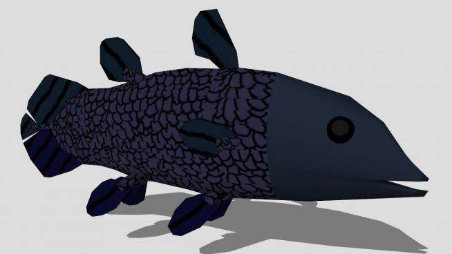 深海鱼类腔棘鱼SU模型下载_sketchup草图大师SKP模型