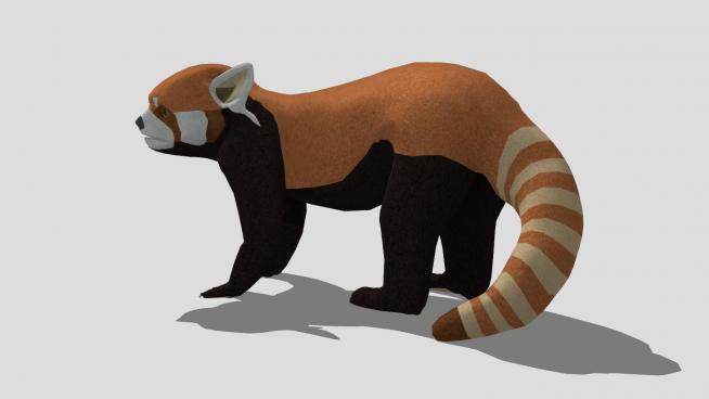 哺乳纲动物小熊猫SU模型下载_sketchup草图大师SKP模型