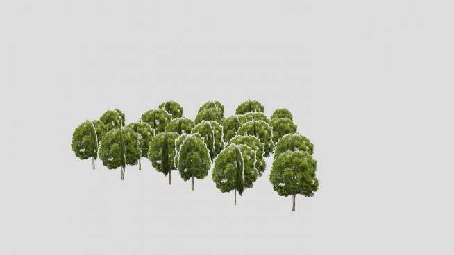 郊外树群植物SU模型下载_sketchup草图大师SKP模型