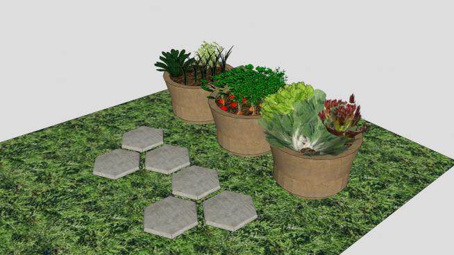 花园盆栽果蔬植物SU模型下载_sketchup草图大师SKP模型