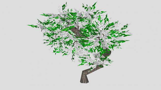 白色紫藤树植物SU模型下载_sketchup草图大师SKP模型