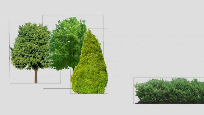 灌木植物和乔木植物SU模型下载_sketchup草图大师SKP模型