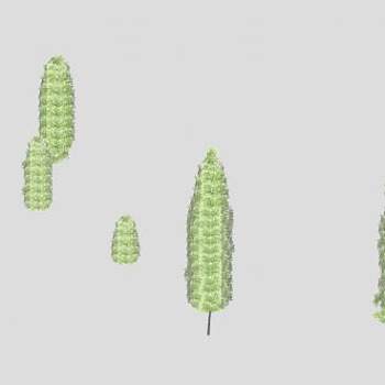 塔型树乔木植物SU模型下载_sketchup草图大师SKP模型