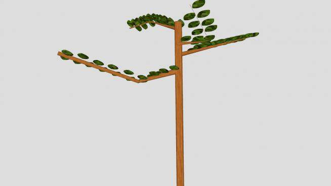 树形木质指标树U模型下载_sketchup草图大师SKP模型