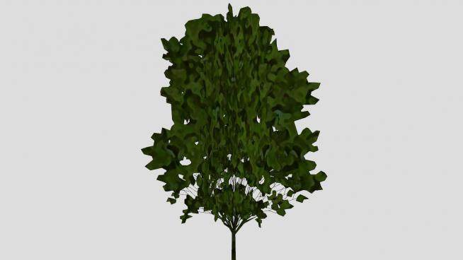 绿色植物乔木SU模型下载_sketchup草图大师SKP模型
