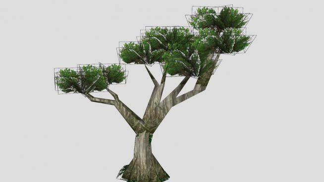 热带雨林的树SU模型下载_sketchup草图大师SKP模型