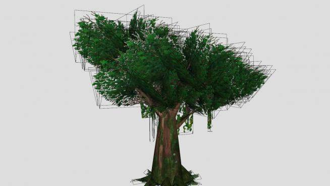 热带雨林的常青树SU模型下载_sketchup草图大师SKP模型
