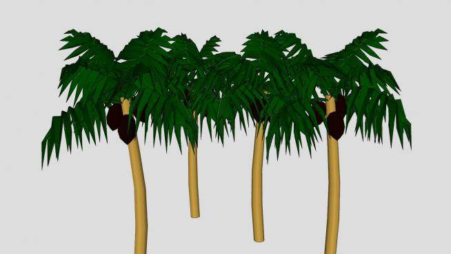 长果实的棕榈树SU模型下载_sketchup草图大师SKP模型