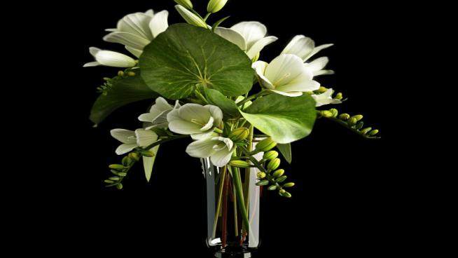 玻璃花瓶白色花卉SU模型下载_sketchup草图大师SKP模型