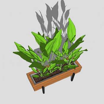 现代室内种植植物SU模型下载_sketchup草图大师SKP模型