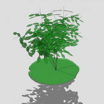 多茎灌木植物SU模型下载_sketchup草图大师SKP模型