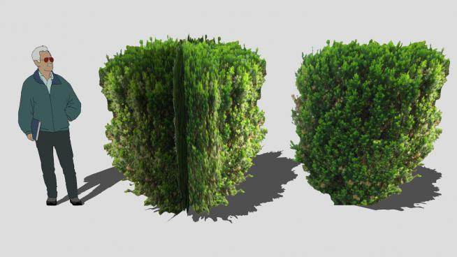 绿地观赏灌木植物SU模型下载_sketchup草图大师SKP模型