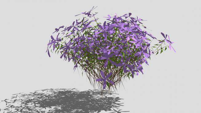 紫色花卉植物SU模型下载_sketchup草图大师SKP模型