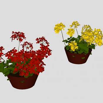 红花黄花双盆栽植物SU模型下载_sketchup草图大师SKP模型