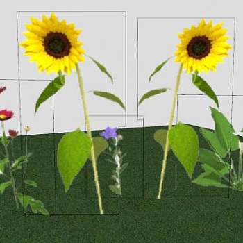 绿地向日葵花叶植物SU模型下载_sketchup草图大师SKP模型