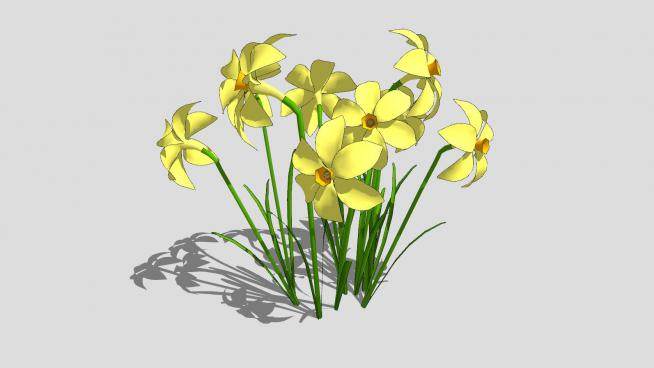黄色花瓣花蕊植物SU模型下载_sketchup草图大师SKP模型