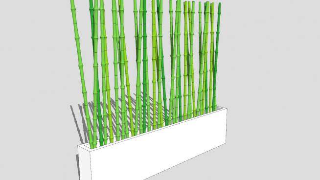 室外竹盆栽观赏植物SU模型下载_sketchup草图大师SKP模型