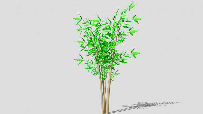 多年生植物竹子SU模型下载_sketchup草图大师SKP模型