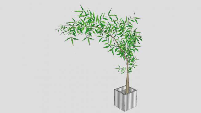 金属盆栽竹子植物SU模型下载_sketchup草图大师SKP模型