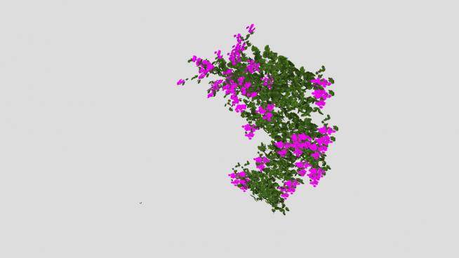 开紫花的藤蔓植物SU模型下载_sketchup草图大师SKP模型