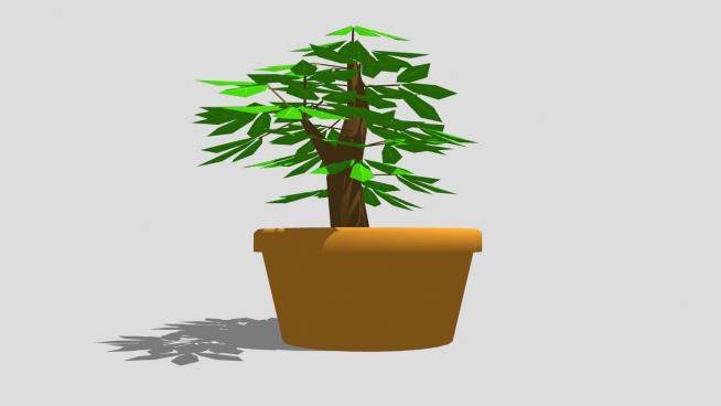 瓦盆盆栽室内植物SU模型下载_sketchup草图大师SKP模型