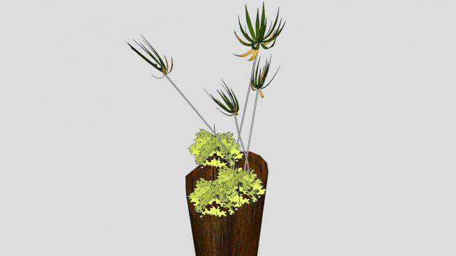 植物装饰木花瓶SU模型下载_sketchup草图大师SKP模型