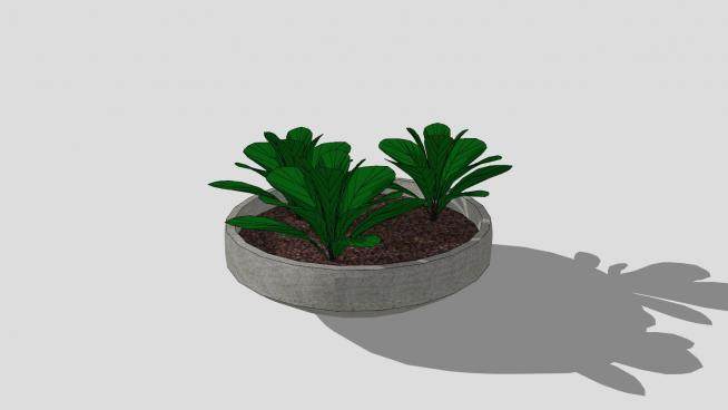 混凝土花盆植物SU模型下载_sketchup草图大师SKP模型