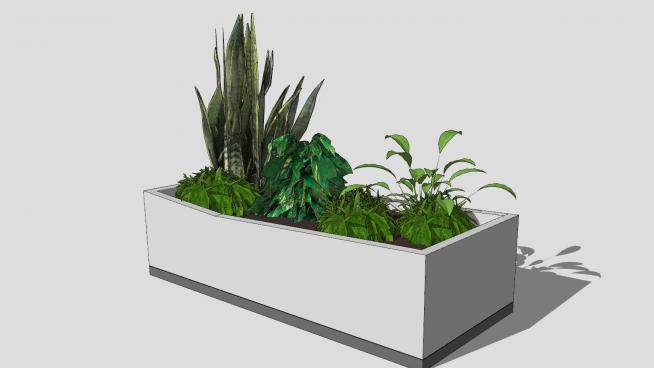 现代小型种植盆栽SU模型下载_sketchup草图大师SKP模型