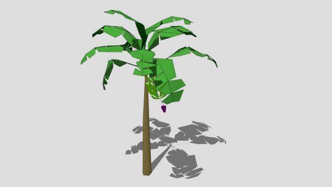 热带香蕉树SU模型下载_sketchup草图大师SKP模型