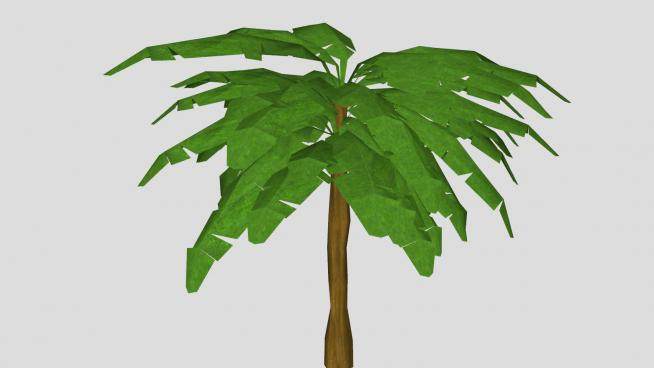 多年生草本植物芭蕉树SU模型下载_sketchup草图大师SKP模型