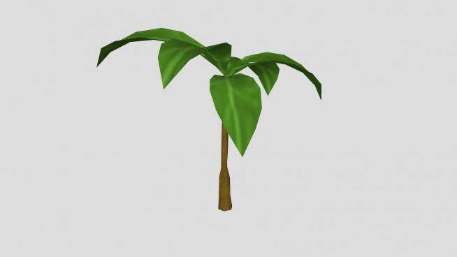 单子叶常绿植物SU模型下载_sketchup草图大师SKP模型