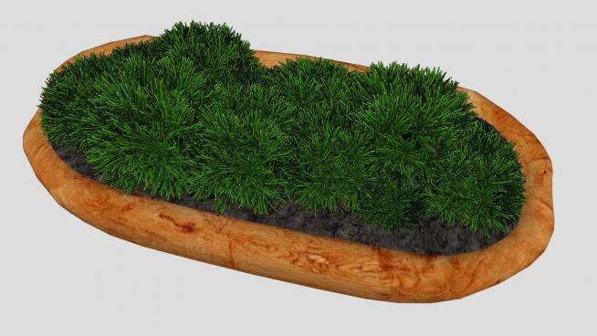 木制船型盆栽上的苔藓植物SU模型下载_sketchup草图大师SKP模型
