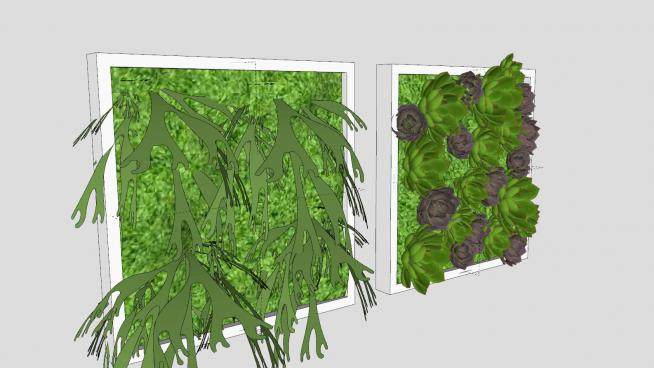 肉质植物和苔藓盆栽SU模型下载_sketchup草图大师SKP模型