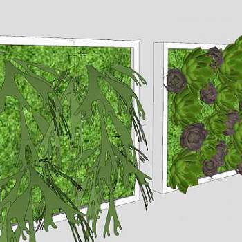 肉质植物和苔藓盆栽SU模型下载_sketchup草图大师SKP模型