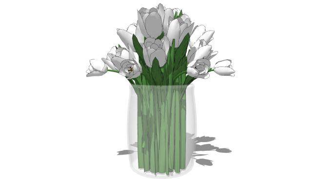 简约透明玻璃花瓶白色花卉SU模型下载_sketchup草图大师SKP模型