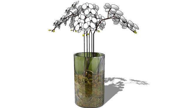 现代圆柱彩色玻璃花瓶和人造兰花SU模型下载_sketchup草图大师SKP模型