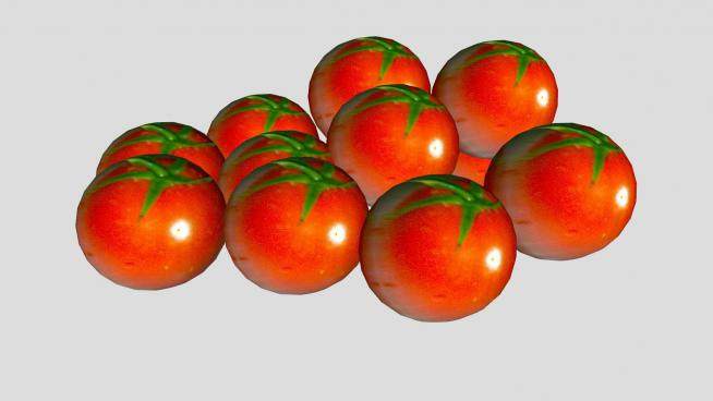 11个西红柿蔬菜SU模型下载_sketchup草图大师SKP模型