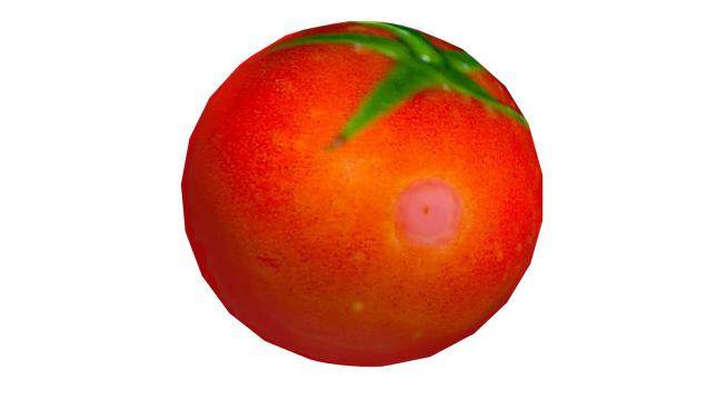 一颗红色番茄SU模型下载_sketchup草图大师SKP模型