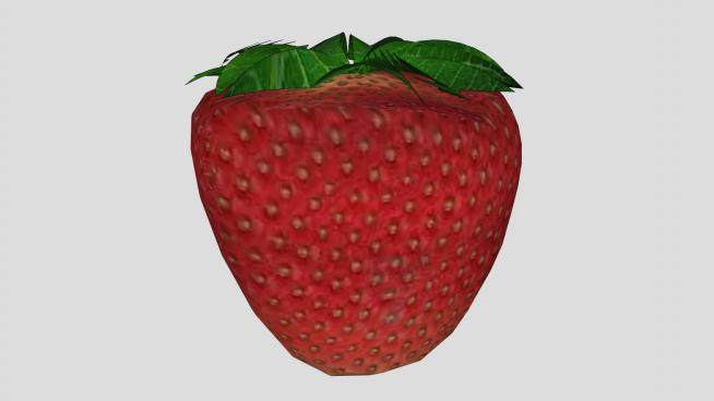 一颗红色草莓水果SU模型下载_sketchup草图大师SKP模型