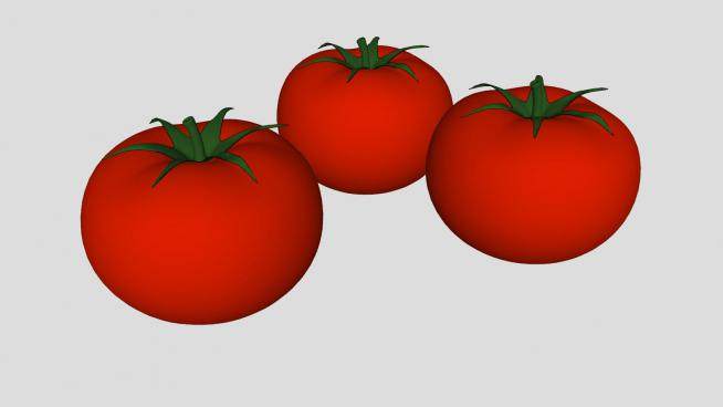 3个红色番茄SU模型下载_sketchup草图大师SKP模型