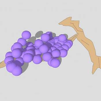 藤上的紫色葡萄SU模型下载_sketchup草图大师SKP模型