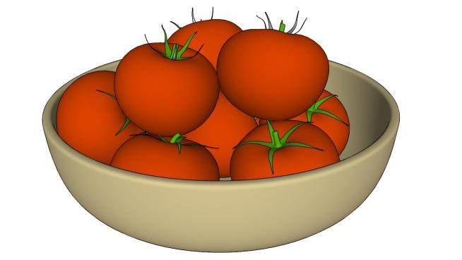 碗中的10个西红柿SU模型下载_sketchup草图大师SKP模型