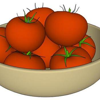 碗中的10个西红柿SU模型下载_sketchup草图大师SKP模型